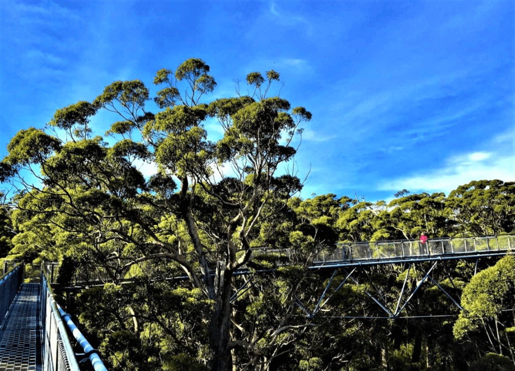 Sightseeing - Süden Australien